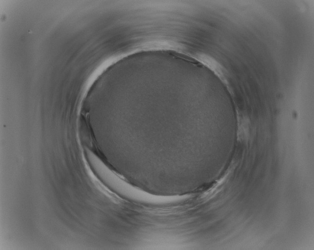 X0000074261342200609081727