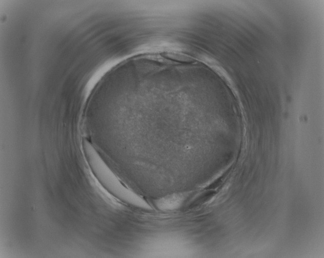 X0000074261344200609081727