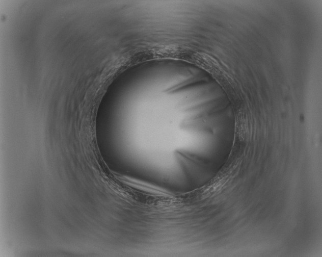 X0000074261345200609081726