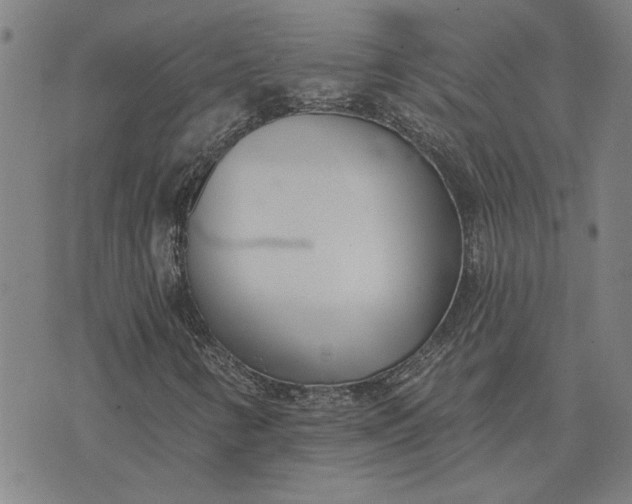 X0000074261346200609081726