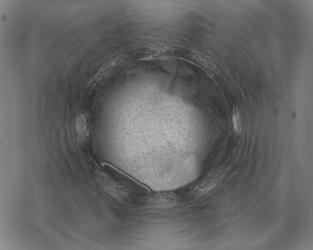 X0000074261347200609081726