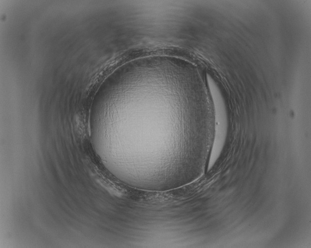 X0000074261348200609081726