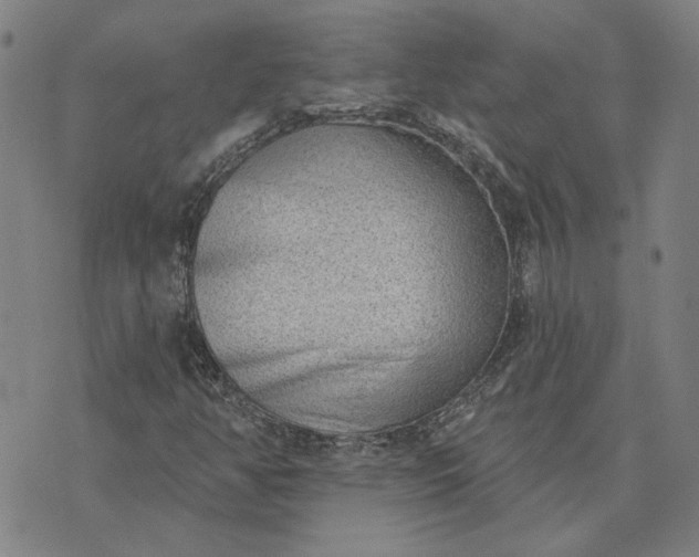 X0000074261350200609081726