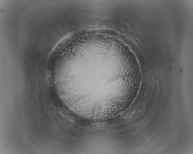 X0000074261351200609081726