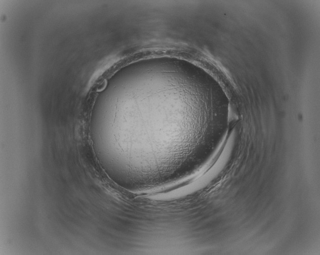 X0000074261352200609081726