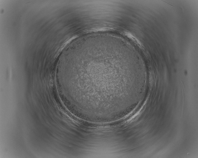 X0000074261353200609081726