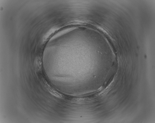 X0000074261355200609081726