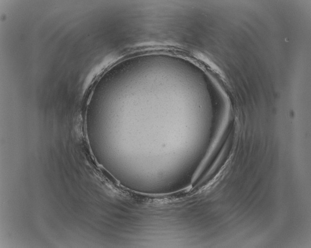 X0000074261357200609081726