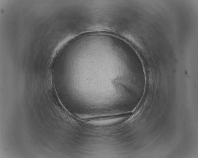 X0000074261358200609081726