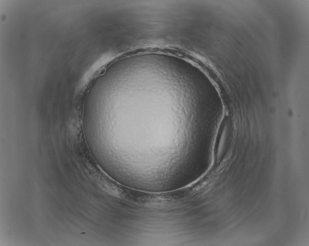 X0000074261359200609081726