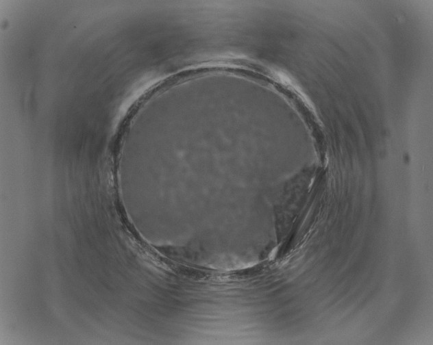 X0000074261360200609081726