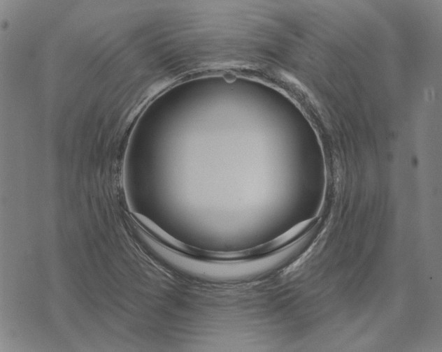 X0000074261361200609081726