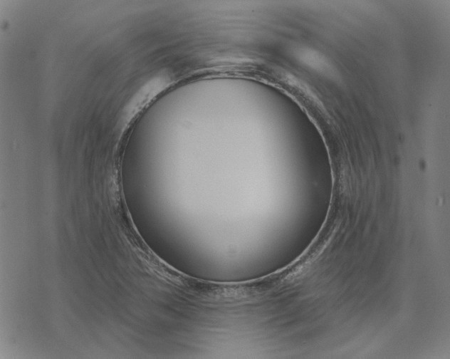 X0000074261362200609081726