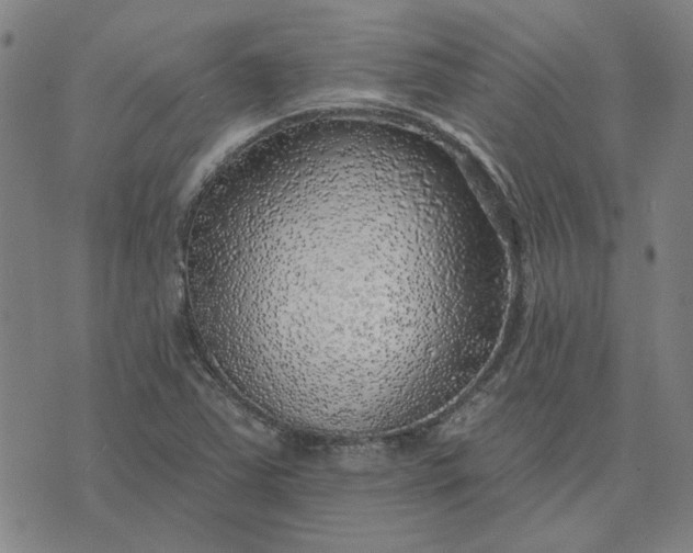 X0000074261363200609081726