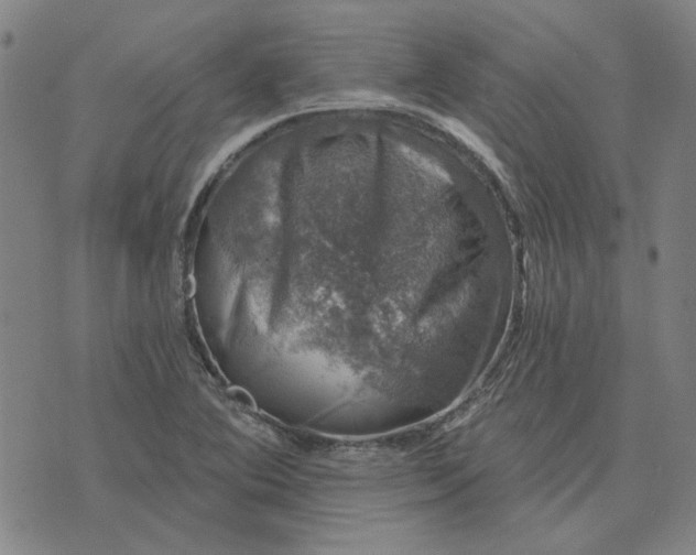 X0000074261364200609081725