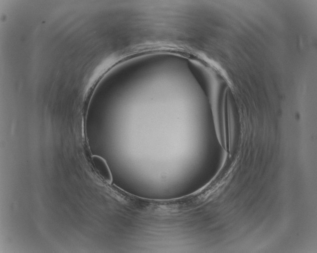 X0000074261365200609081725