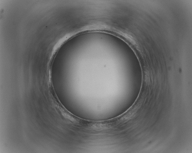 X0000074261366200609081725