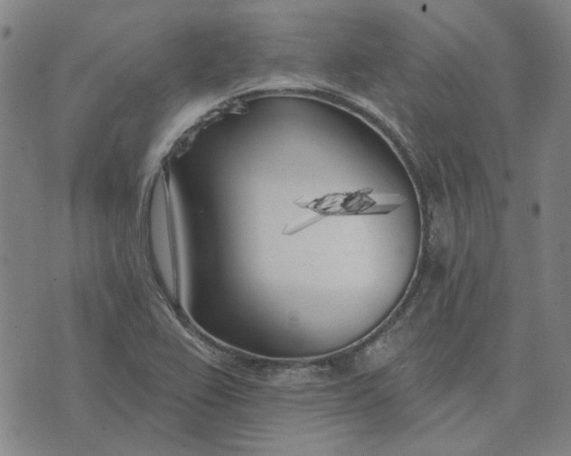 X0000074261367200609081725