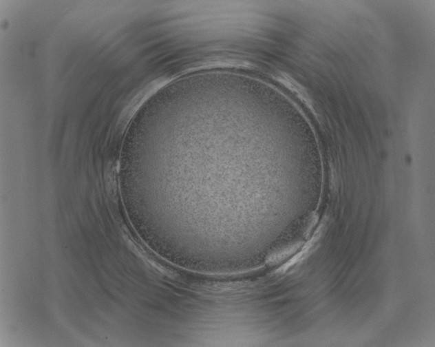 X0000074261369200609081725