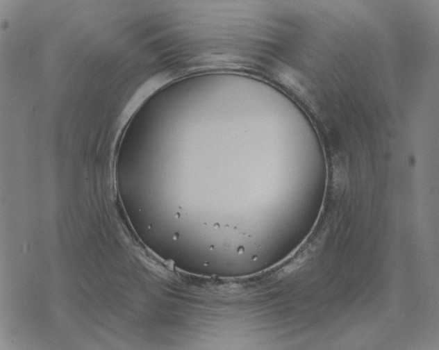 X0000074261370200609081725