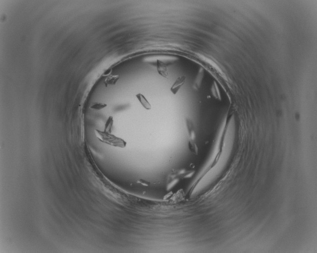 X0000074261371200609081725