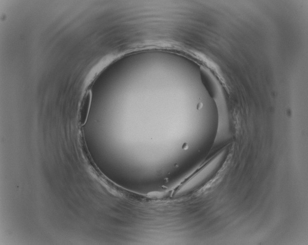 X0000074261373200609081725