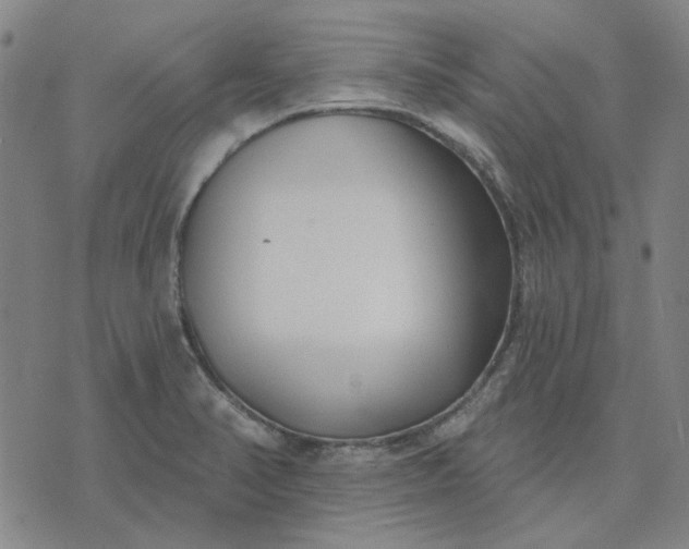 X0000074261374200609081725