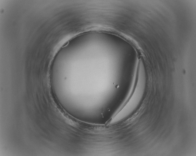 X0000074261375200609081725