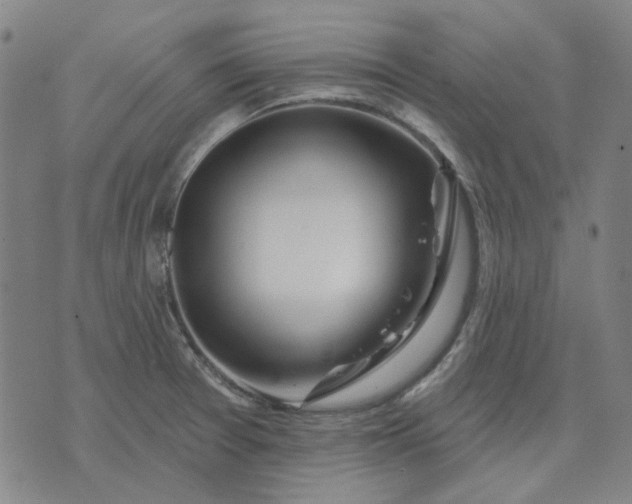 X0000074261377200609081725