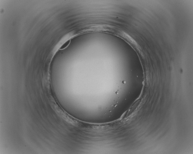 X0000074261378200609081725