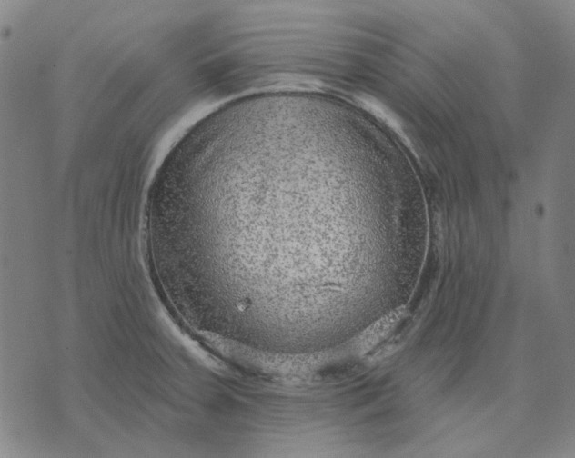 X0000074261379200609081725