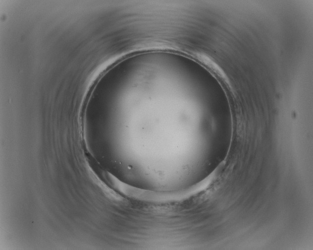 X0000074261380200609081725