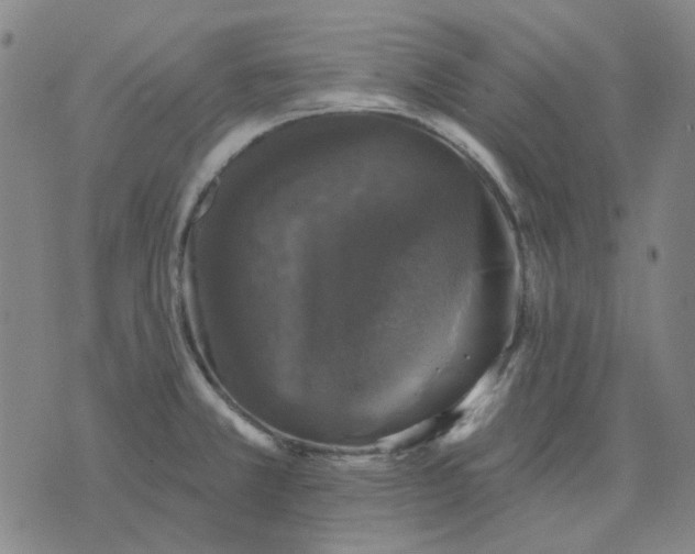 X0000074261381200609081725