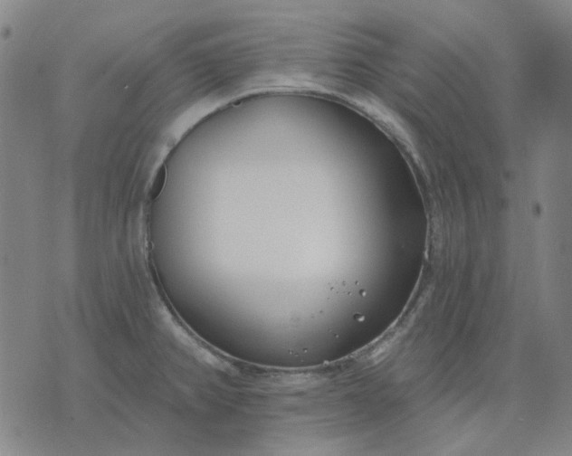 X0000074261382200609081725