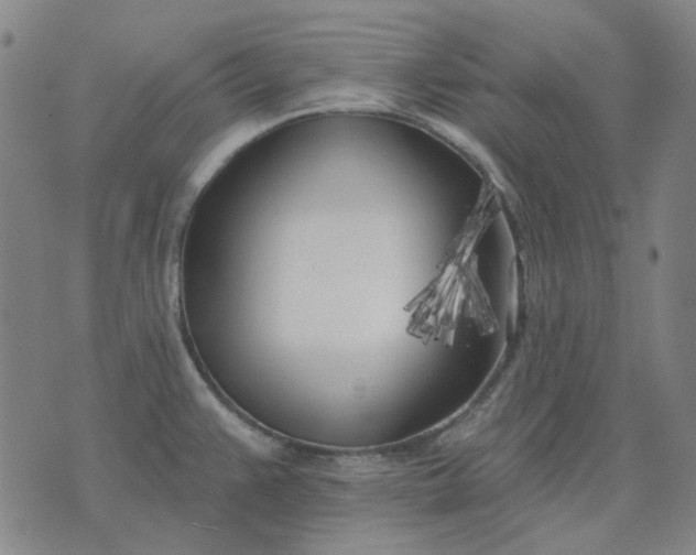 X0000074261383200609081725