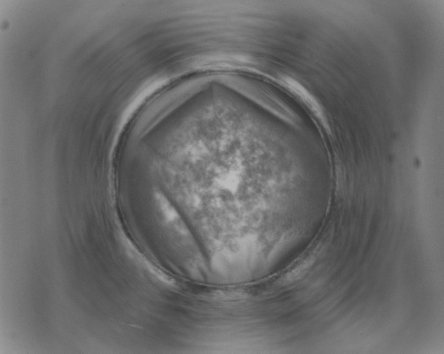 X0000074261384200609081725