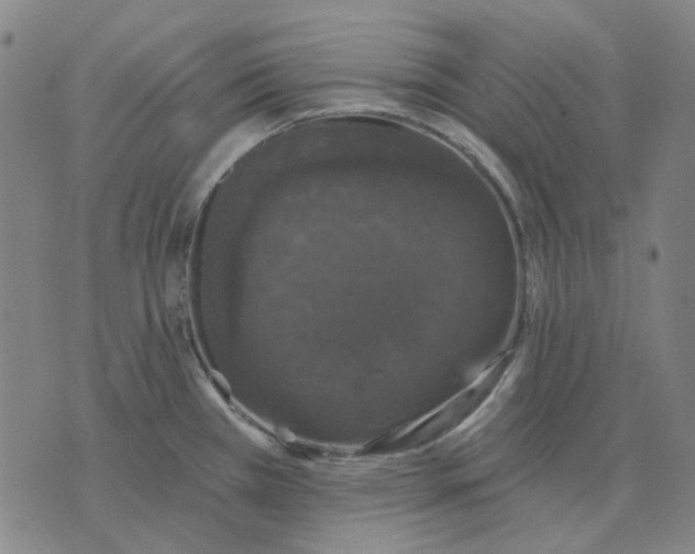 X0000074261385200609081725