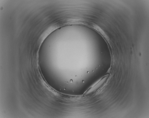 X0000074261386200609081725