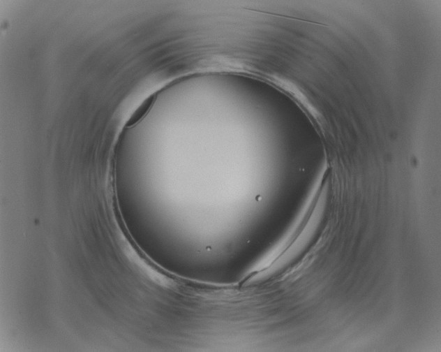 X0000074261387200609081725