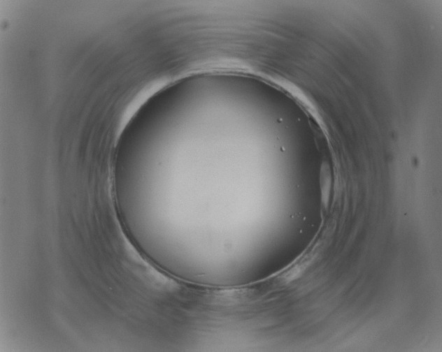 X0000074261390200609081725