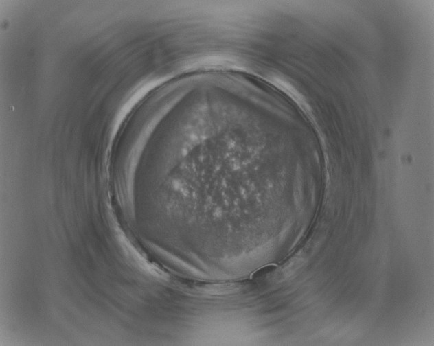 X0000074261392200609081725