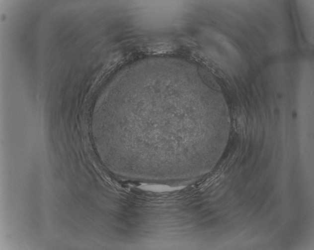 X0000074261393200609081724