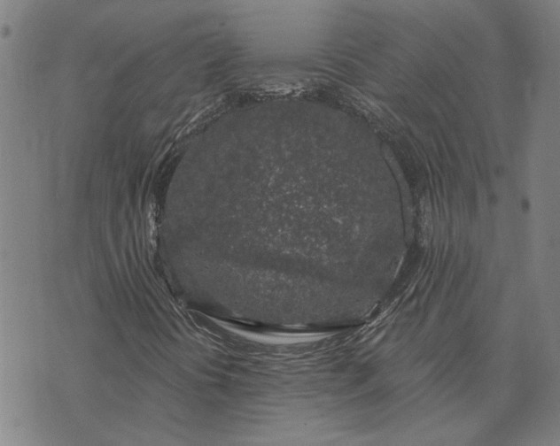 X0000074261394200609081724