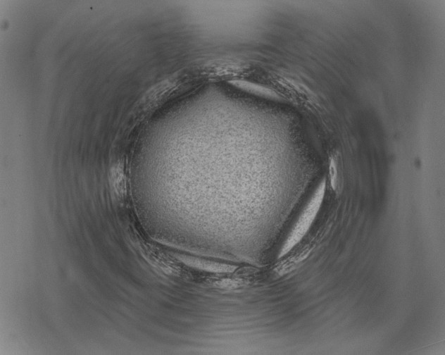 X0000074261395200609081724