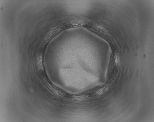 X0000074261396200609081724