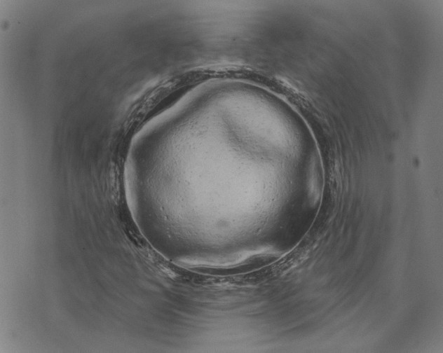 X0000074261398200609081724