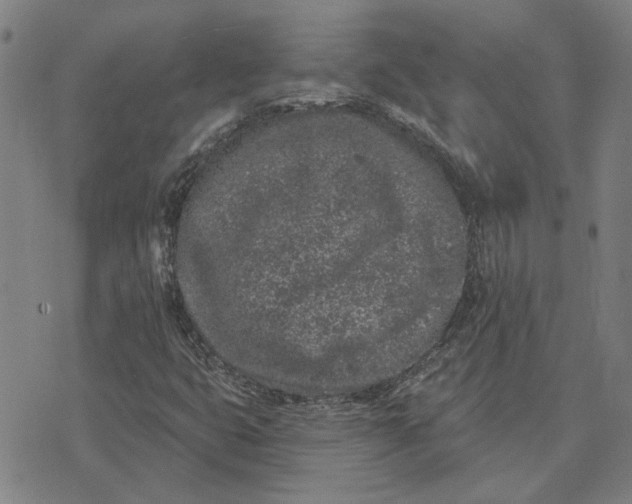 X0000074261399200609081724