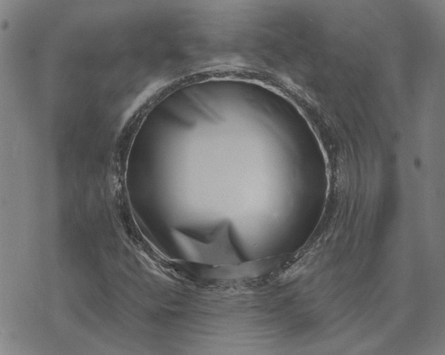 X0000074261400200609081724