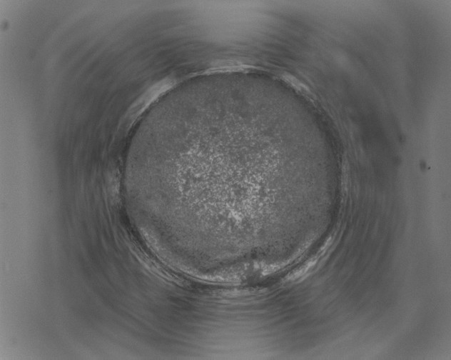 X0000074261401200609081724