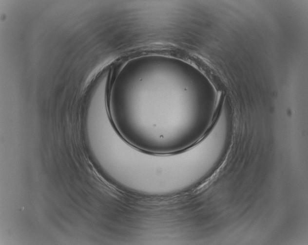 X0000074261402200609081724